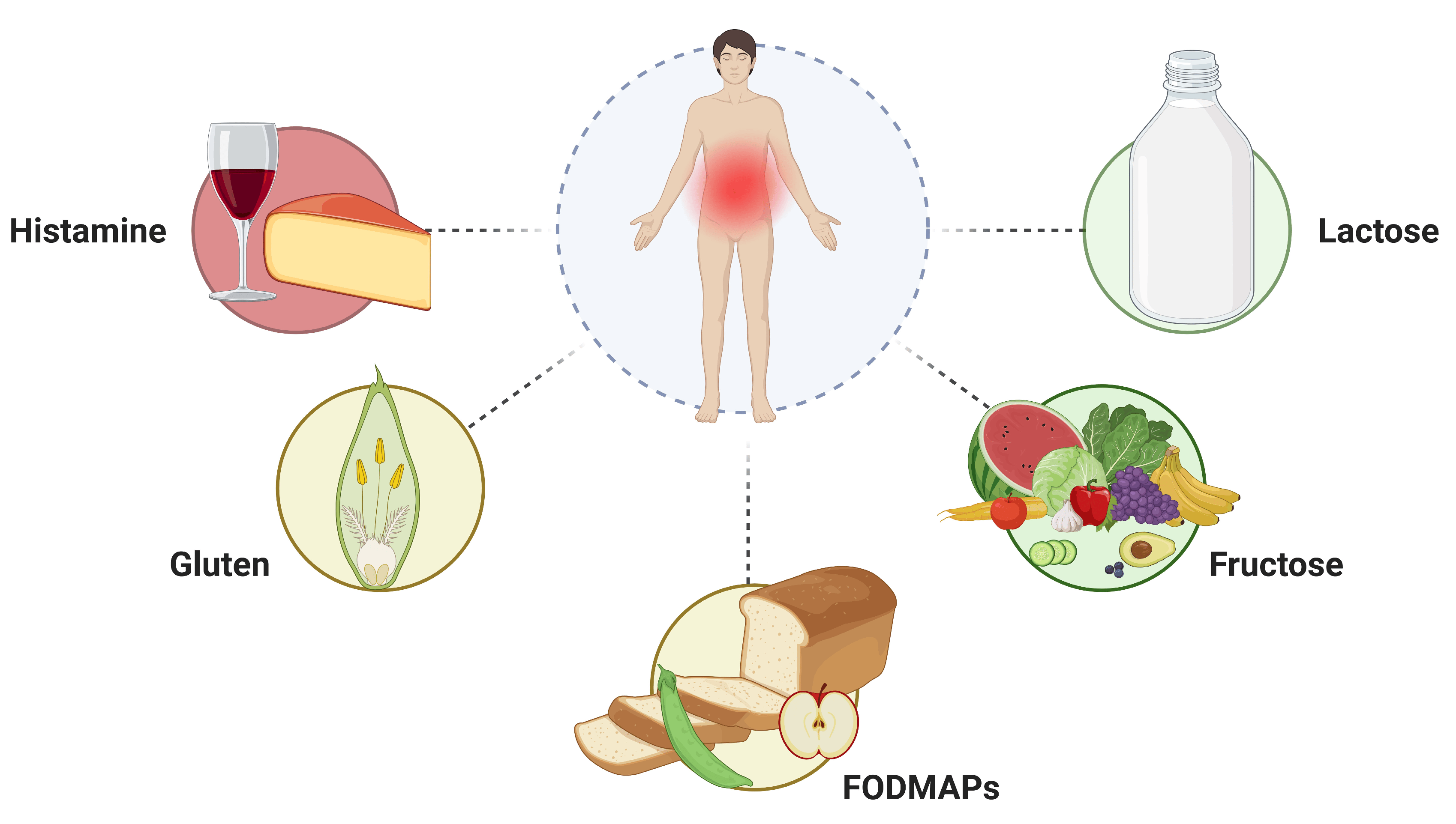 Gluten İntoleransı mı Histamin Duyarlılığı mı Belirtileri Ayırt Etme Rehberi2