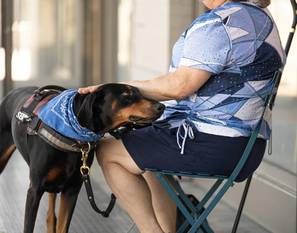 Hayvanlarla Terapi Köpekler Depresyonu Nasıl Hafifletiyor (1) Hayvanlarla Terapi Köpekler Depresyonu Nasıl Hafifletiyor (1)