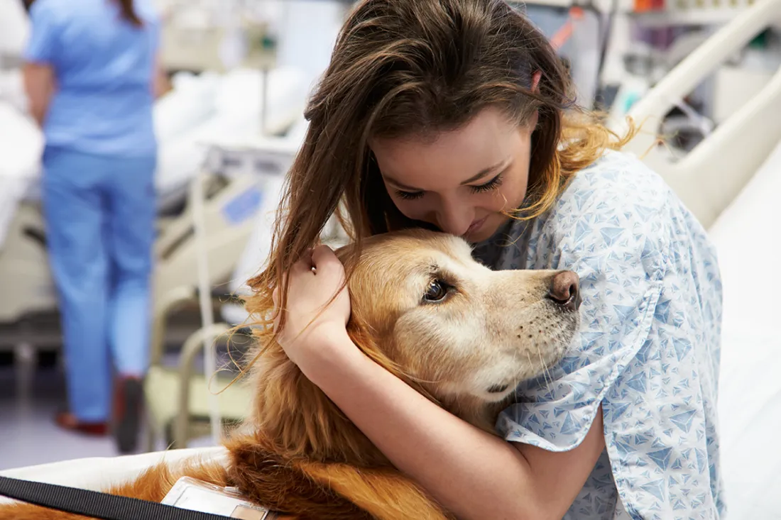 Hayvanlarla Terapi Köpekler Depresyonu Nasıl Hafifletiyor (2) Hayvanlarla Terapi Köpekler Depresyonu Nasıl Hafifletiyor (2)